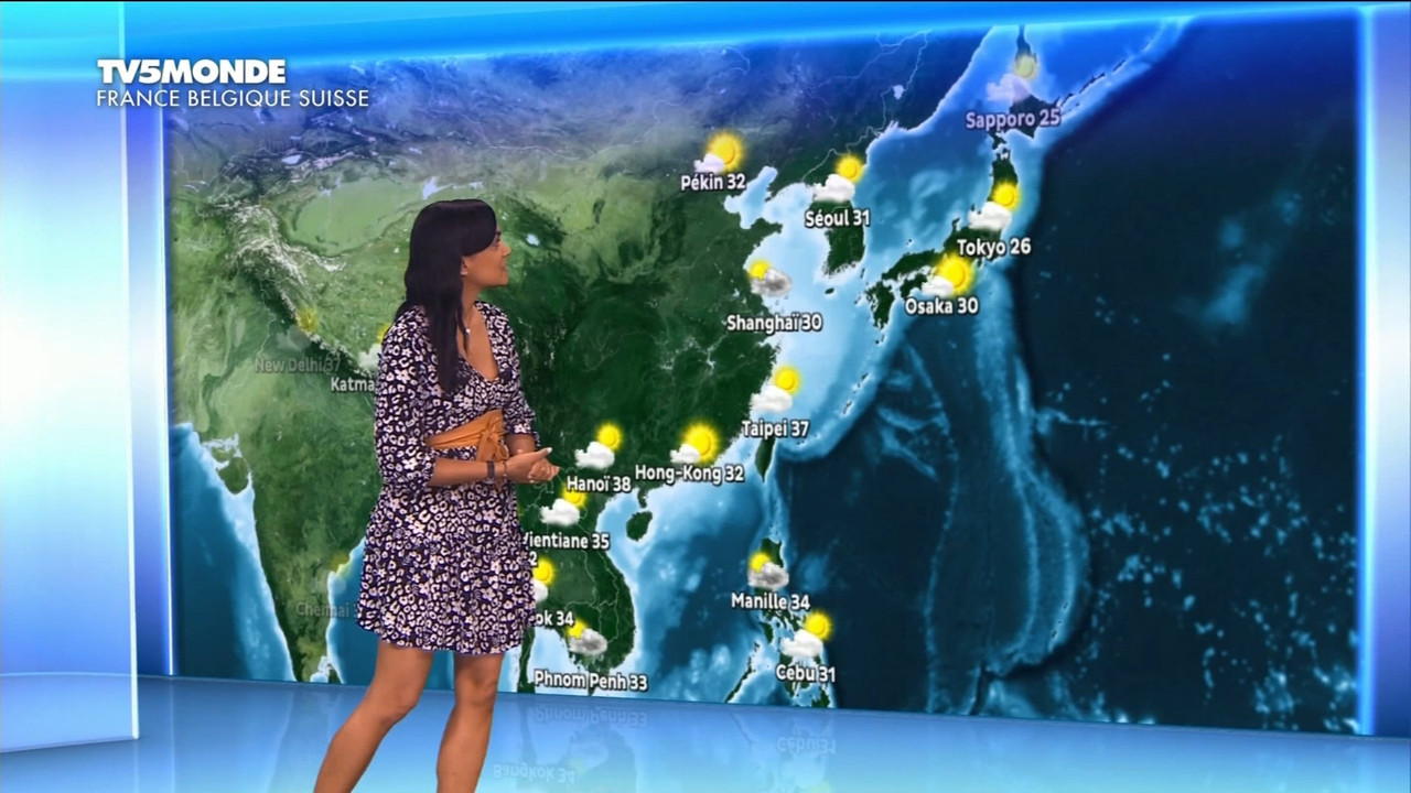 22 June - 17.25.00 - Météo. Le bulletin météorologique international.ts_snapshot_13.44.426