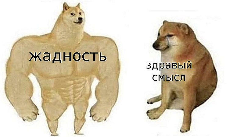 4576768855454556нтне