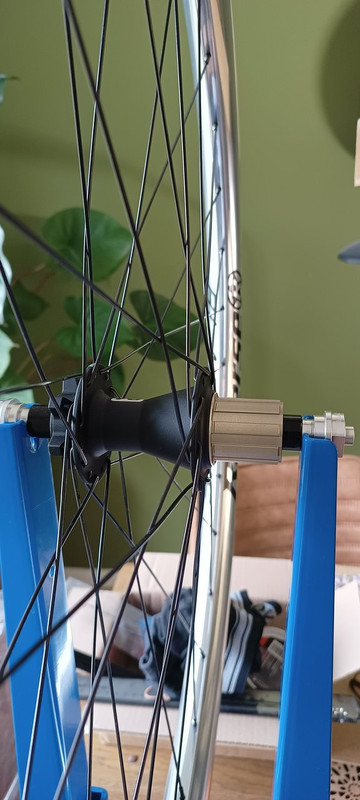 IMG_20231103_123932892