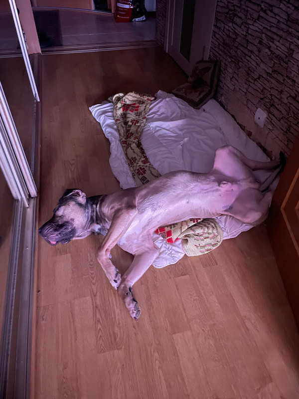 94A3098B-7D0C-4828-9E77-2165827ABCA7