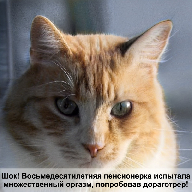 поилка для кошек