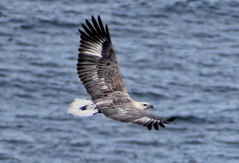 FB IMG 1767512075839