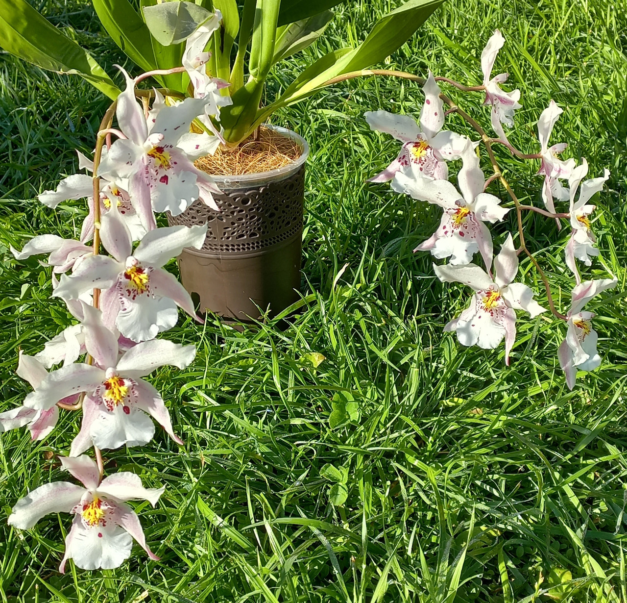 fc K0E0I Cp2t Pq5f Kik Bi Ao Gi JABSI9OBqc P1 jt Vhh0WSo Oc OB6t82Vy Lph Kn PYp Zu VCYH7I2Lkdrb7rt Q