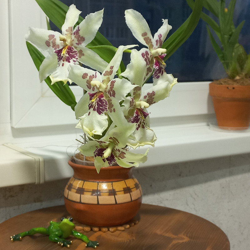 ht QP LI2DKk YAk X2c7w EImw Xe77uot15JSOIle Fo Aoj W89kx SOXrev Uqh9wis91NWt M148d Gw Bw7y4x Db Tn A