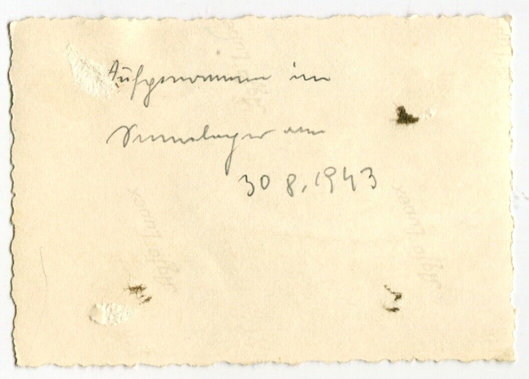 K9621 Foto Russland WH Panzer VI Tiger schwere Panzerabteilung 506 30.8.1943 (2)