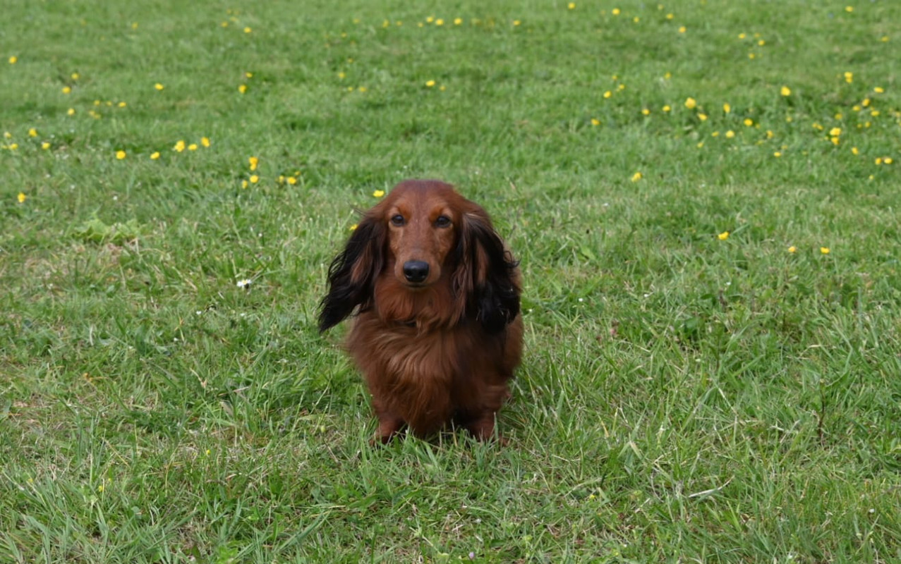 [Image: IMG-20250501-WA0046.jpg]