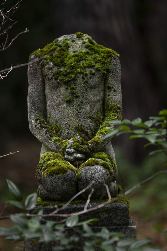 Les Jardins Les Jardins