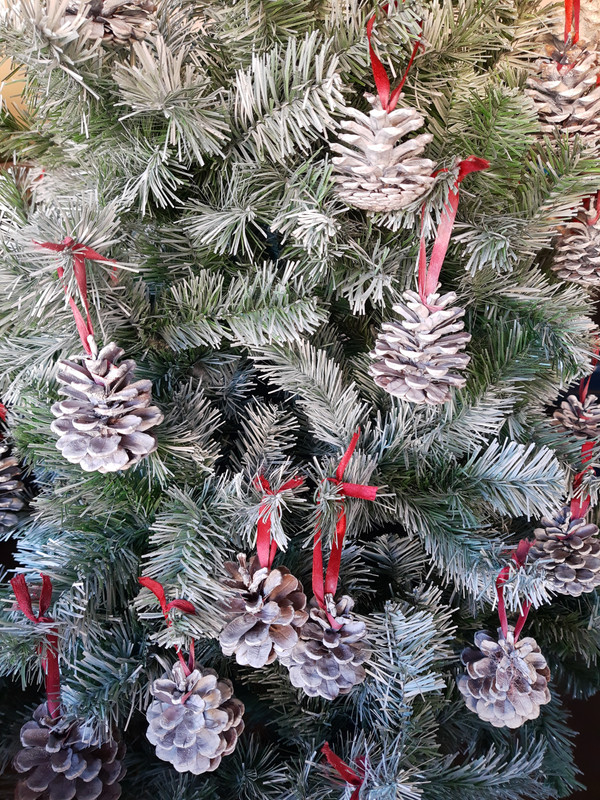 IMG_20211116_150338143