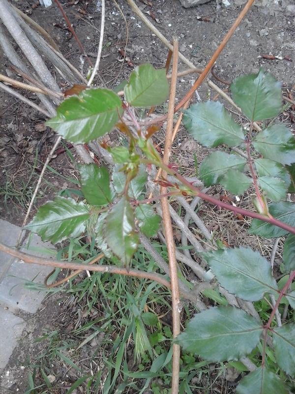 20190503_174638