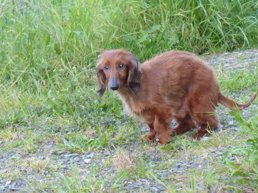 [Image: P1040957.jpg]