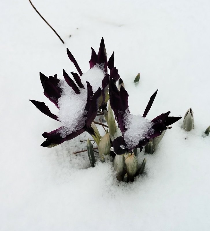 изображение_viber_2025-03-06_22-25-51-421