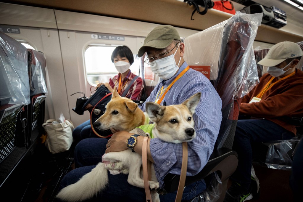Lomitos viajan en tren bala en Japón