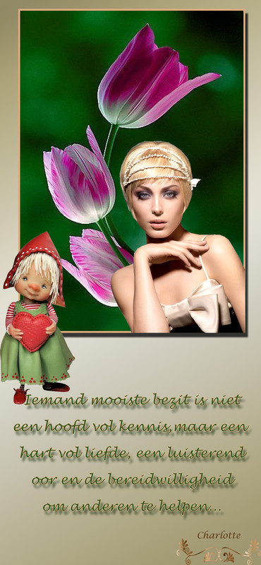 iemands-mooiste-bezit