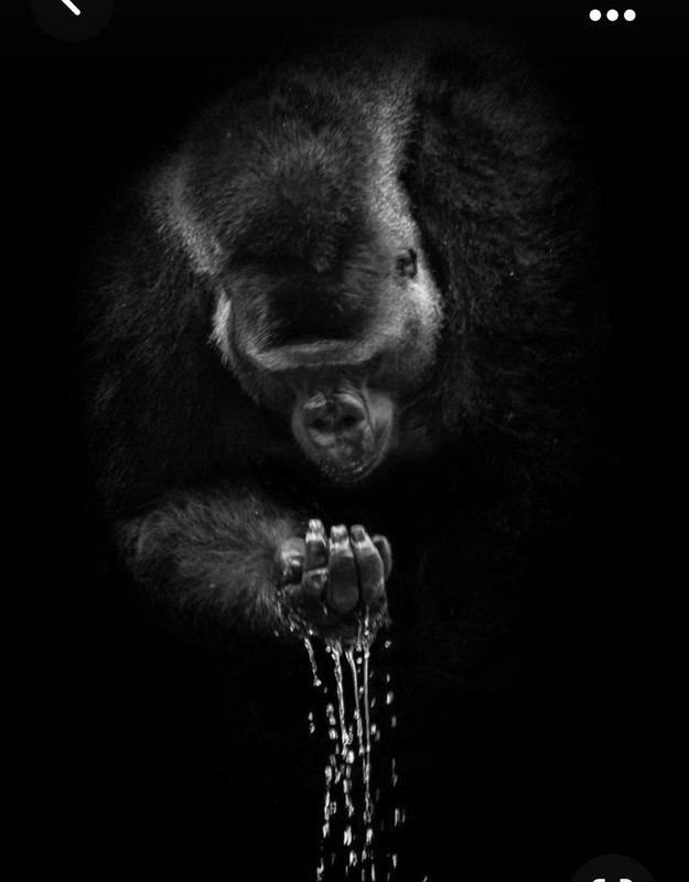 Screenshot_20231024_202126_Pinterest