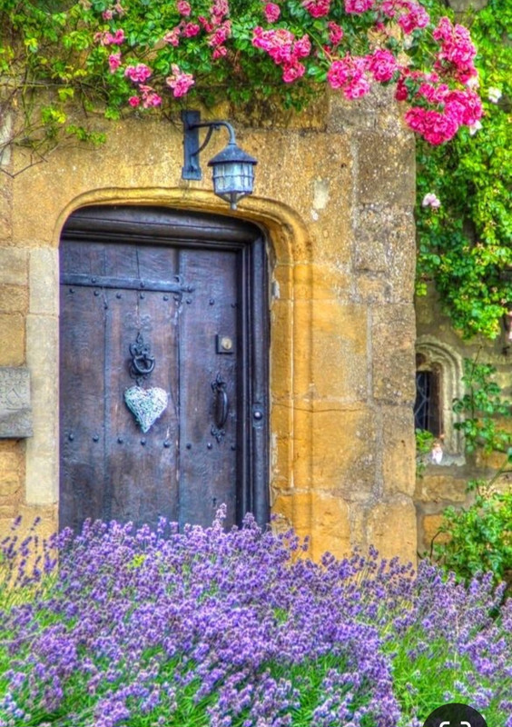 Screenshot_20230406_212807_Pinterest