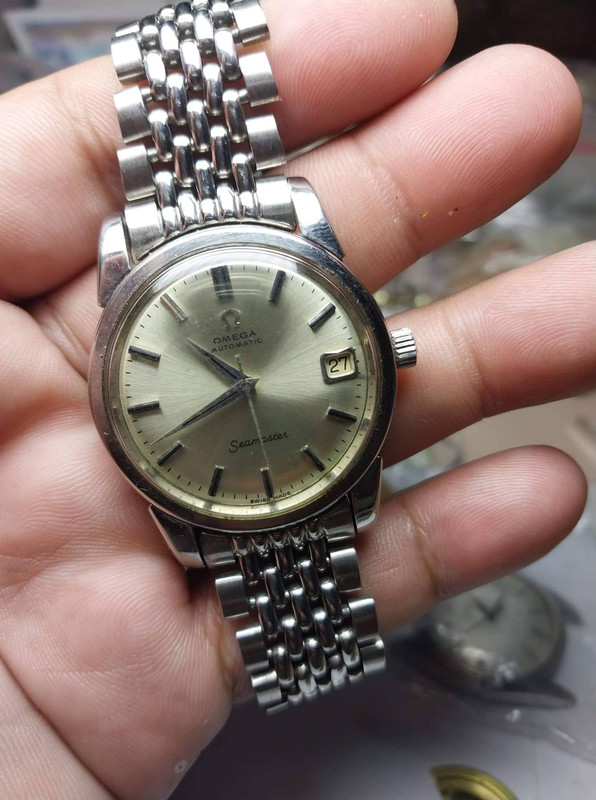 310967307_514111203454611_430618888780612477_n