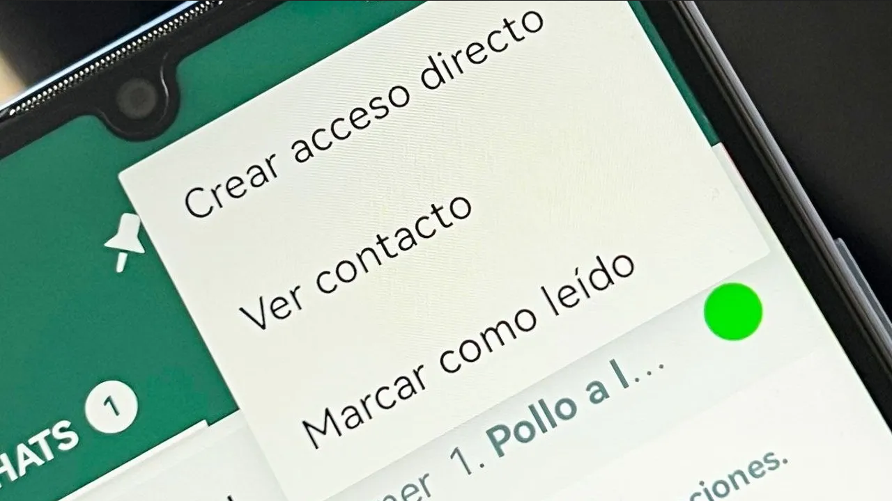¿Qué significa un punto verde en una conversación de WhatsApp?