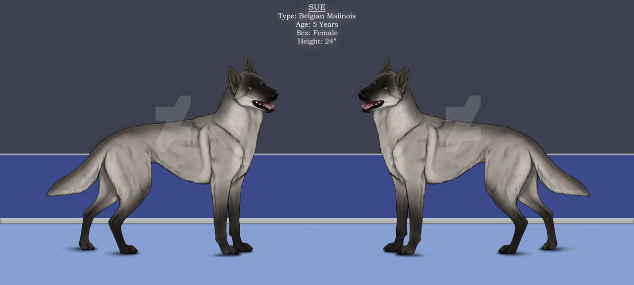 sue-by-wolf-20-dg175ql-pre.jpg