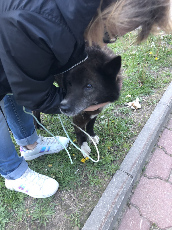 3341A742-E94C-443F-B9F8-6A3DDD9197C2