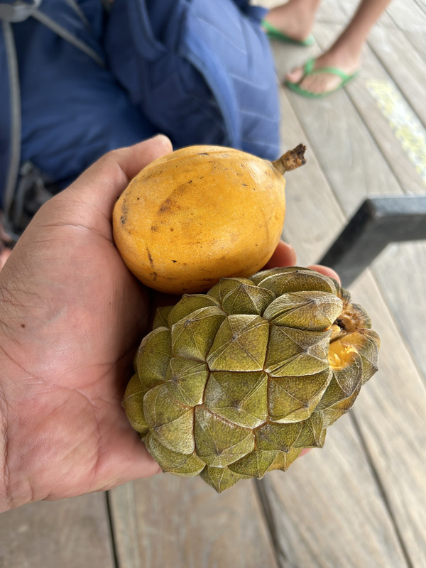 5B4BD05D-DE2F-4CC0-8C0F-EFDA63759BBE