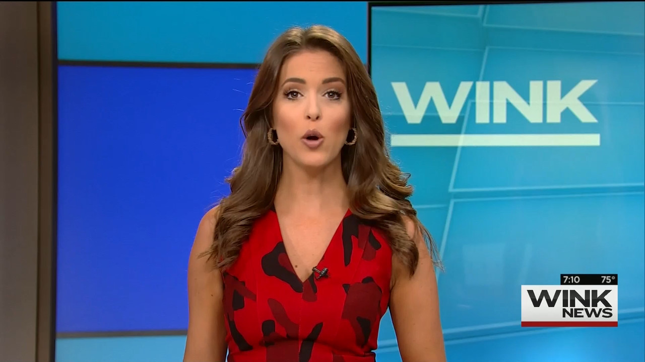 10.25 - 10.00.00 - WINK News @ 6 00AM Sunday..ts_snapshot_11.28.085