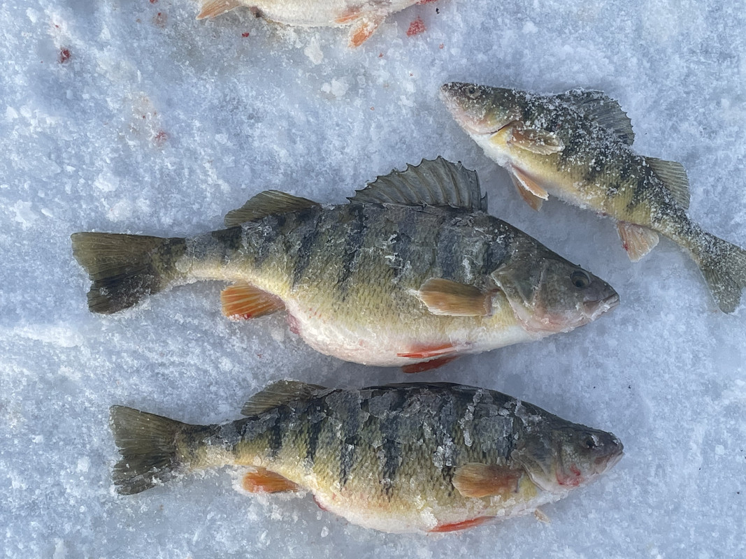 1A71055D-8BDB-4AE6-9D7A-069AD3D4BE38