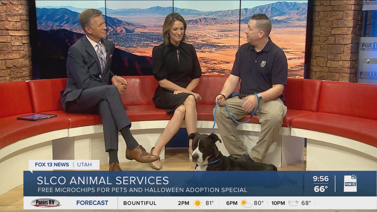 10.04 - 16.00.00 - FOX13 News  Good Day Utah 9AM  ᴺᵉʷ. Utah news, wea....ts_snapshot_00.57.59.405