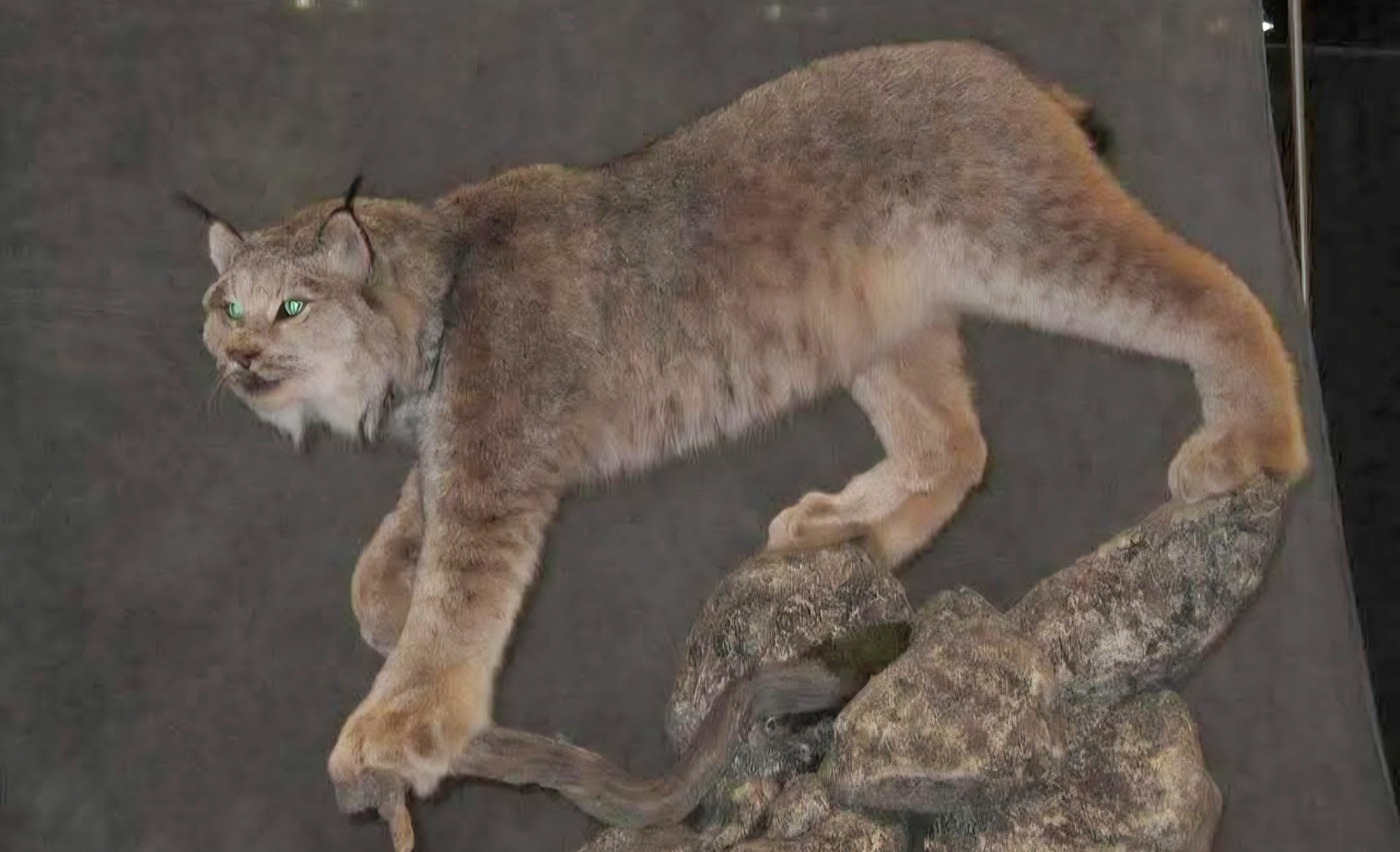 Screenshot 20260218 045054 Photos