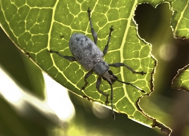 C82E4CEF-DFFE-499C-9693-7A4040794C20