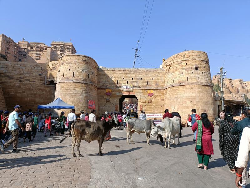 https://i.postimg.cc/FKFg08X0/Jaisalmer-(33).jpg