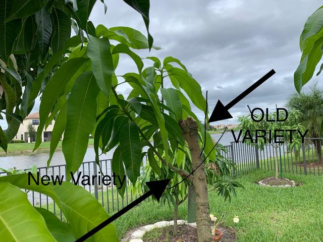 7C934F78-C963-4AD0-9C9A-324037B20381