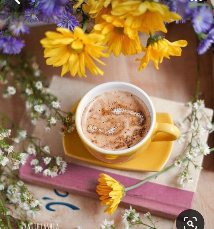 Screenshot_20230905_014803_Pinterest