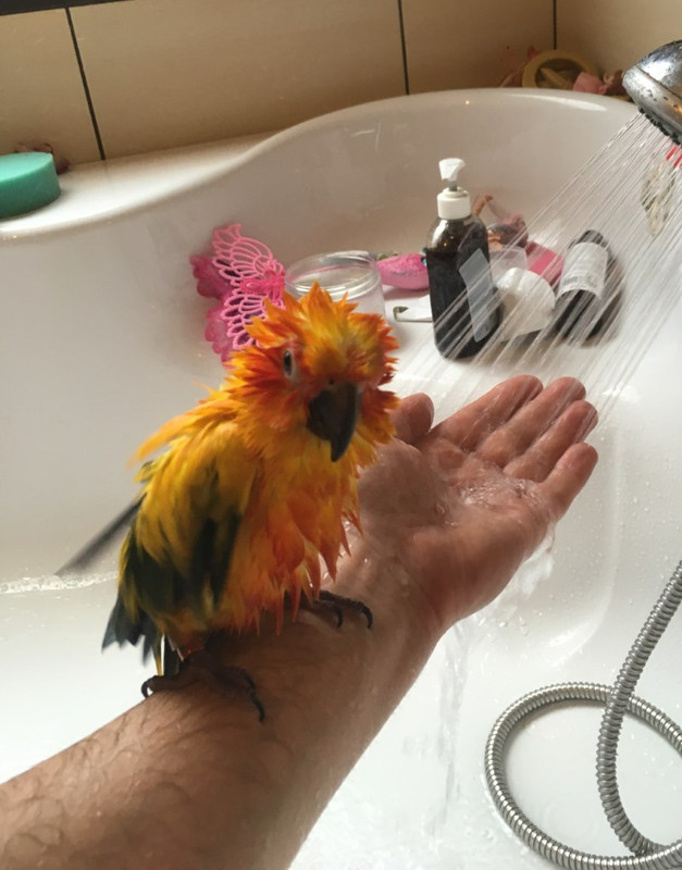 cyt-bathtime.jpg