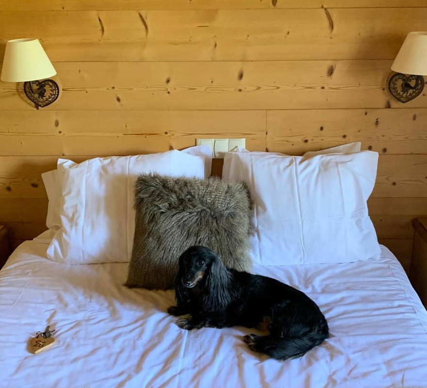 [Image: IMG-20250524-WA0008.jpg]