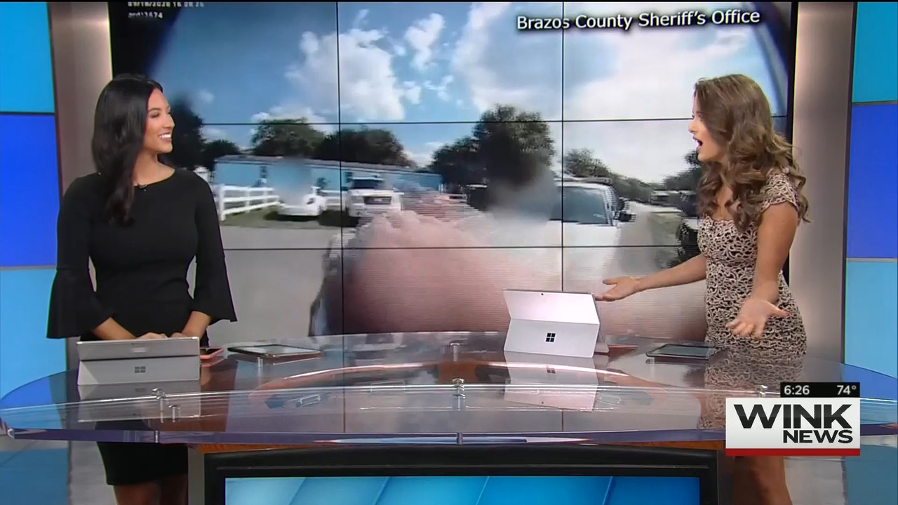 10.24 - 11.00.00 - WINK News This Morning..ts_snapshot_00.28.03.154