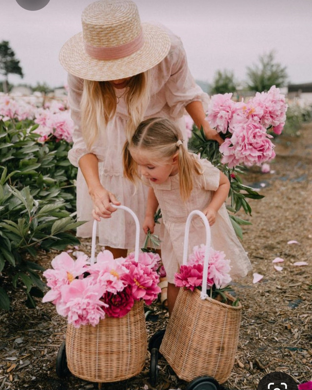 Screenshot_20230322_232512_Pinterest