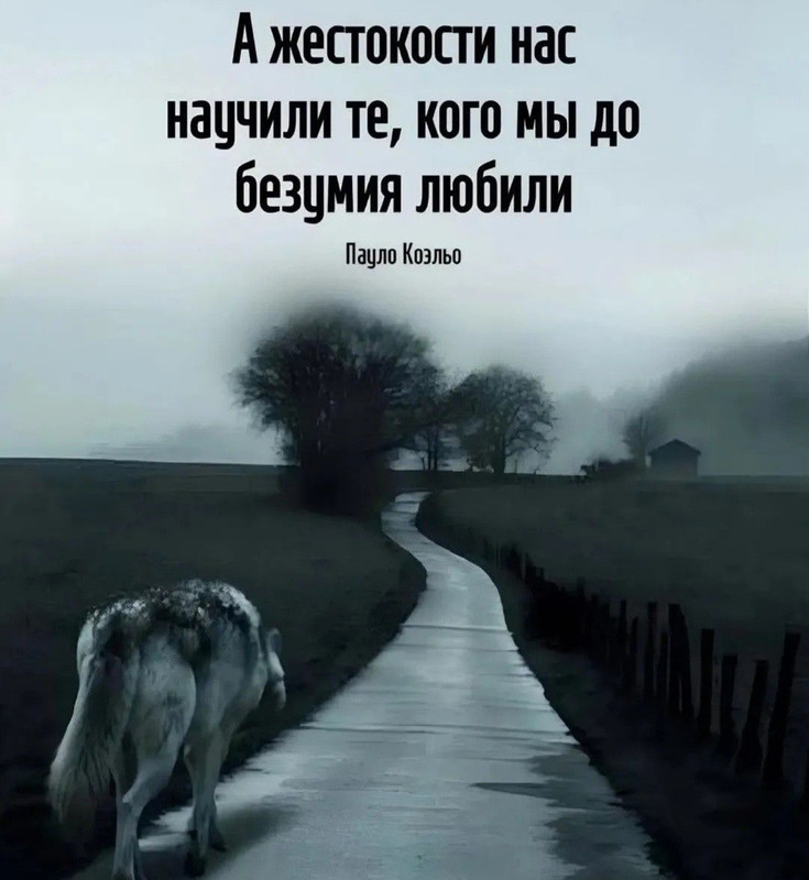 [Изображение: a5bec501c3f9cbad45f7f4faf4a4d0ba.jpg]