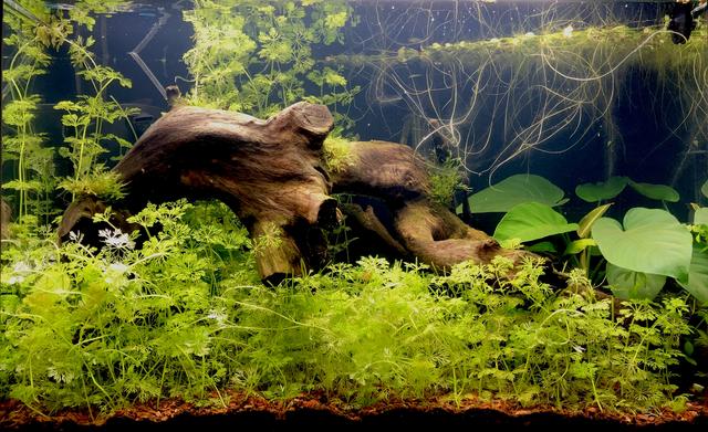 CB0D4AF4-856D-41DF-9956-B79D3CFCD182