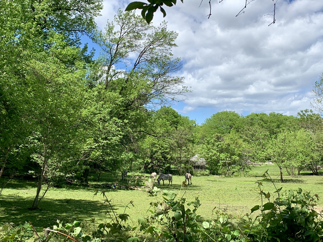 76D854FD-E735-4496-BD49-9D971174CB92