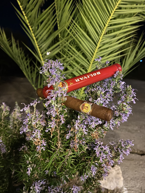 2420692E-CF79-4942-BE41-FA65EFD0C2C8