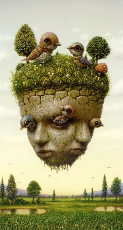 Naoto-Hattori-Restoration.jpg