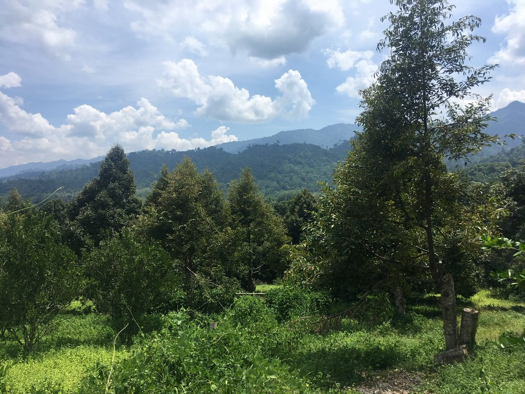 231F0F2F-4802-4949-8A02-7EB564C25F78