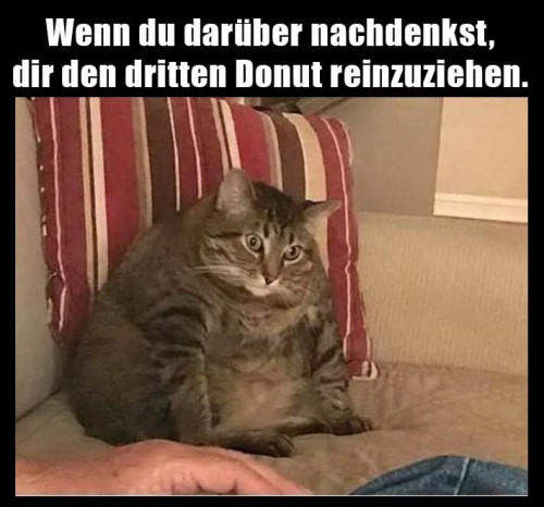 thumbs-picdump935-27.jpg