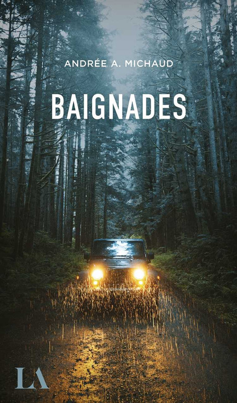 Baignades-Andr-e-A-Michaud.jpg