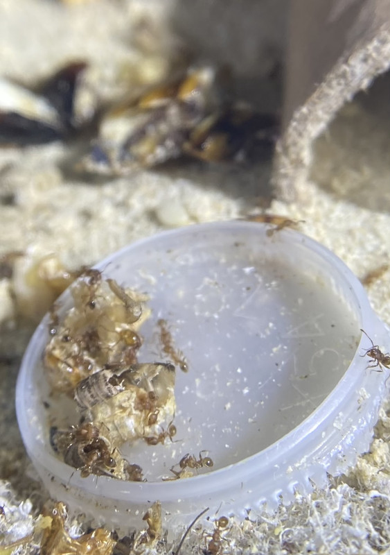 6CE37DF5-C6EC-4F78-BAF5-3F5A33672314