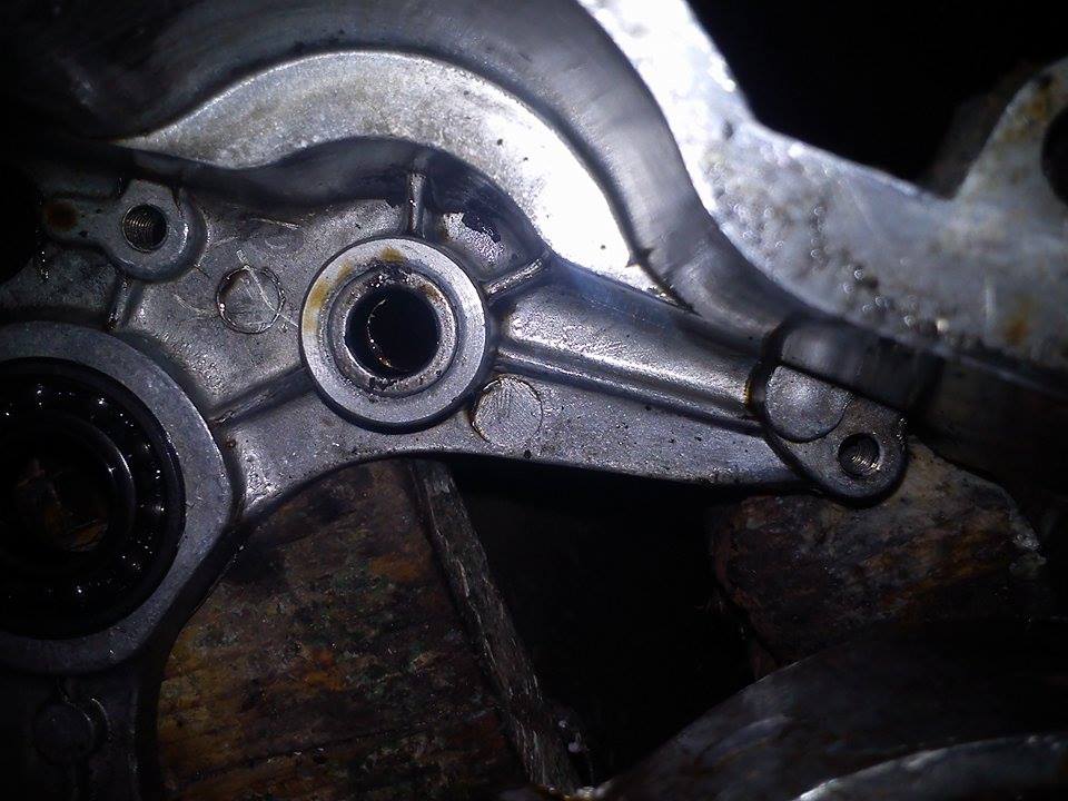 12170644_1473861286256610_1514092252_n