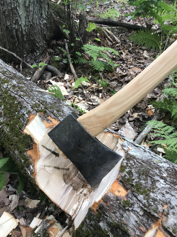 59627498-A0B1-4D28-9304-ED7E10B3E66E