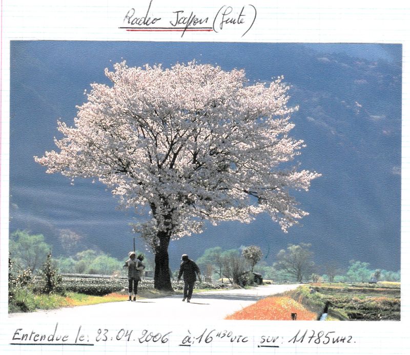 QSL de R.JAPON QSL-R-JAPON-06