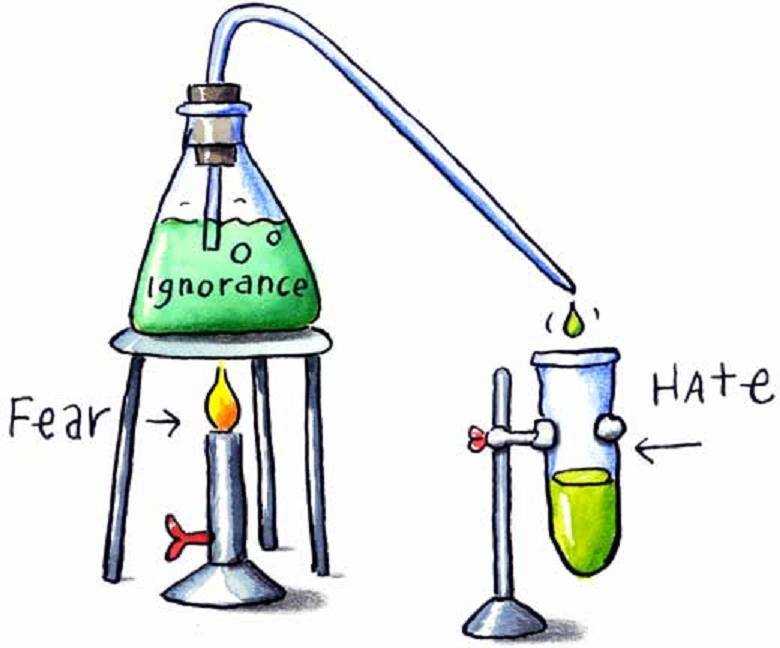 95055039_257325752075565_660655091555185