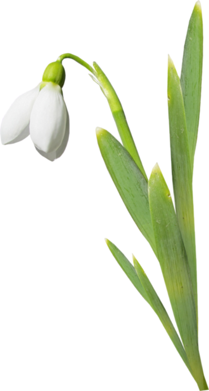 0_1c0e0c_33766d8c_orig